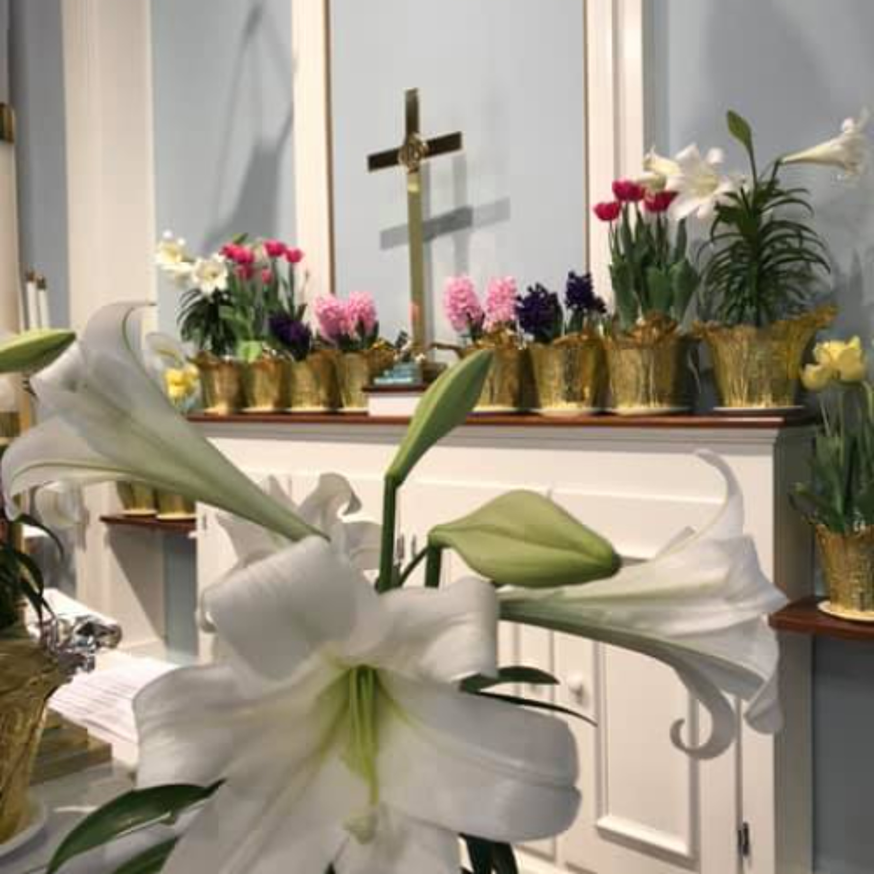 Born Again