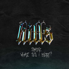 Drake - What Did I Miss? (HILLS REMIX)