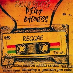 MEGA BADNESS REGGAE (FULLY ROOTS)
