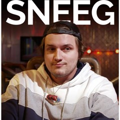 A New Victim(Sneeg's Free!)  Generation Loss OST