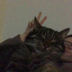 Wilder Westen prod NMD