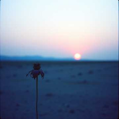 The day you disappeared NV5