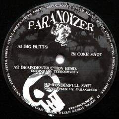 Noizefucker vs Paranoizer - Wonderfull Shit