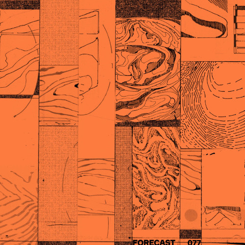 Forecast 077: Lucia Kagramanyan