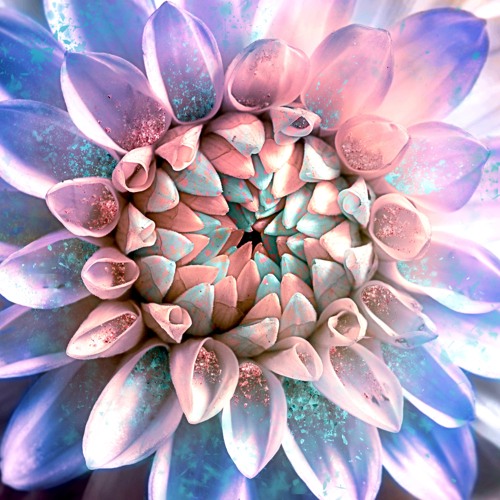 Stream Techno Live Jam 2 Digitakt Eurorack By Klankart Listen