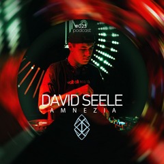 AMNEZIA PODCAST: TECHNO MEMORY #023 | DAVID SEELE