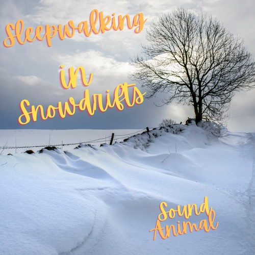 Sleepwalking In Snowdrifts