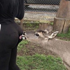 Smoke N Poke Ft OGTee (prod)By. Kiyoto