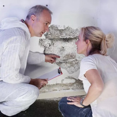 How Quickly Does Mold Grow After Water Damage in Omaha?