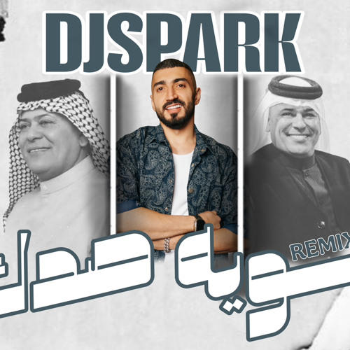 اسويها صدك - رعد الناصري -ردح &معزوفه  Dj Spark Remix