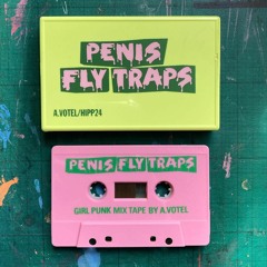 Andy Votel - Penis Fly Traps (All Vinyl Girl Punk Mixtape)