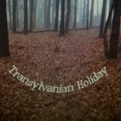 Transylvanian Holiday