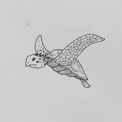 Sensaciones Burbujeantes
