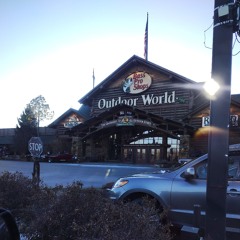 Springfield Where the Heart Is Gold