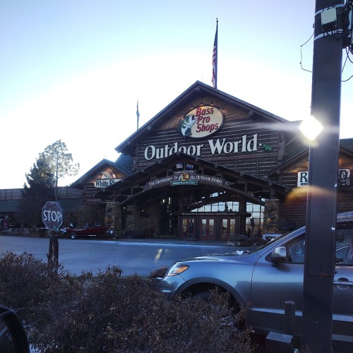 Springfield Where the Heart Is Gold