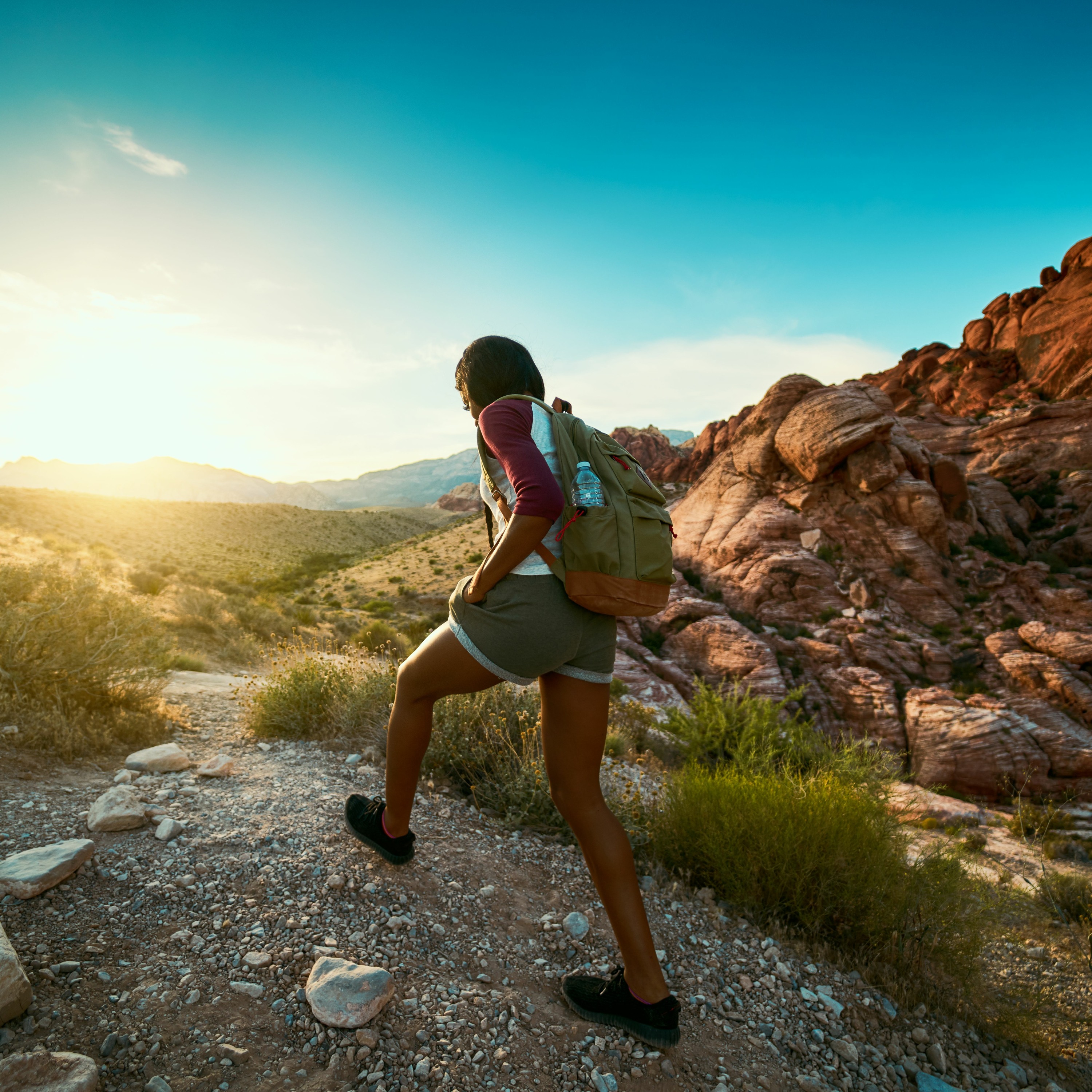 NDOW presents the Nevada Wild Podcast