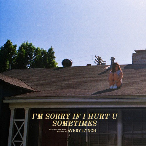 i'm sorry if i hurt u sometimes