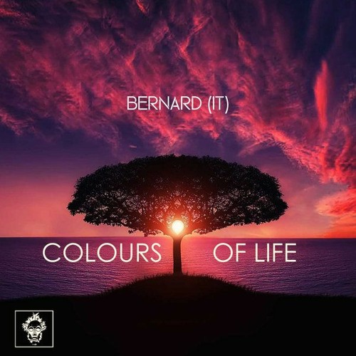 Colours Of Life (Original Mix)Merecumbe