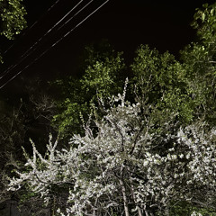 DeadStar w/ Cho The Gloreast & sudscaletta