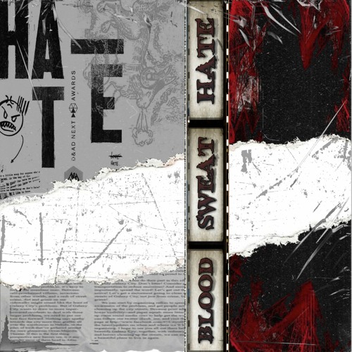 BLOOD SWEAT HATE (ORIGINAL MIX)