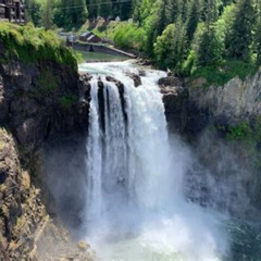 Review Special Price Guided Forest Hike To Seattle Waterfalls Incl. Snoqualmie Falls
