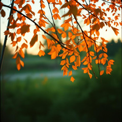 Gates of Eden (Cover)