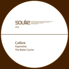 The Water Carrier