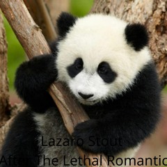 After The Lethal Romantic (3)