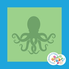 Question Your World - When did the octopus first appear on Earth?
