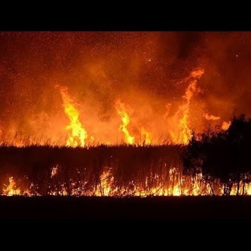 Red Dead Redemption 2 OST - The Fine Joys of Tobacco