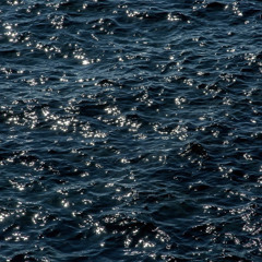 강아솔-아름다웠지,우리