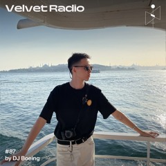 #87 / DJ Boeing - Sun and Palms Embrace