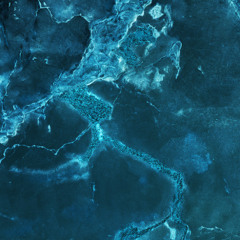 Snakebite West Revisit