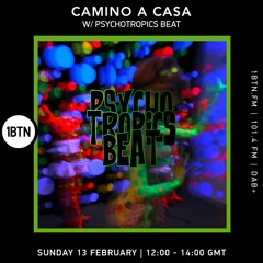 Camino A Casa with Psychotropics Beat - 13.02.2022