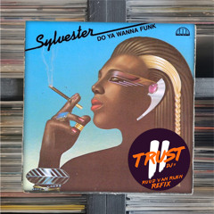 Sylvester - Do you wanna funk (2 TRUST DJs - Ruud van Rijen Refix)**FILTERED DUE COPYRIGHT**