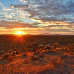 Arizona (F**k California)