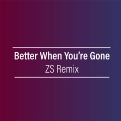 Better When You're Gone (ZS Remix)