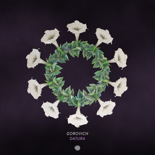 Stream Datura (Original mix) by GOROVICH | Listen online for free 