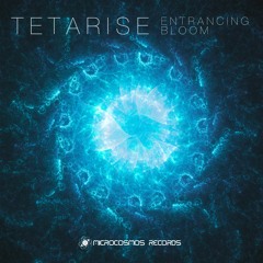 Tetarise - Renascent Life