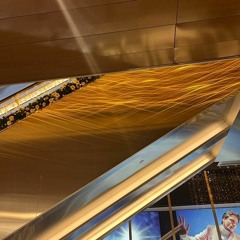 Psicodelic  Elevator