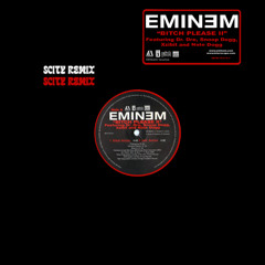 Eminem, Nate Dogg - Bitch Please II (Scity Remix)