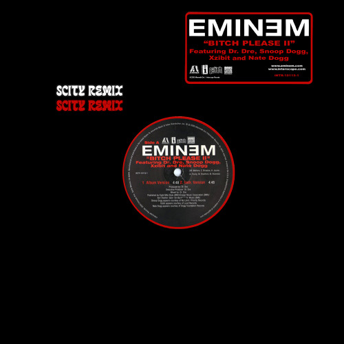 Eminem, Nate Dogg - Bitch Please II (Scity Remix)