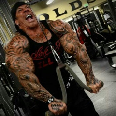 Rich piana's 5% training song