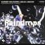 Raindrops (Knight Raccoon Remix 2)