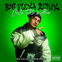 Big Flexa (Remix) [feat. Alfa Kat & Ma Gang Official]