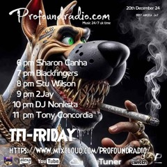 #257 Profound Radio House @djstuwilson