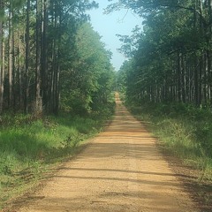 Rebuild the World.mp3