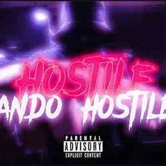 HOSTILE - BANDO HOSTILES