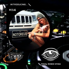 Introducing... Guest Mix #114 Notorious M.A.D