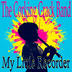 My Little Recorder